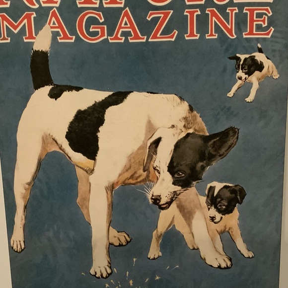 Vintage Nature Magazine Reproduction print - Picture 3 of 10